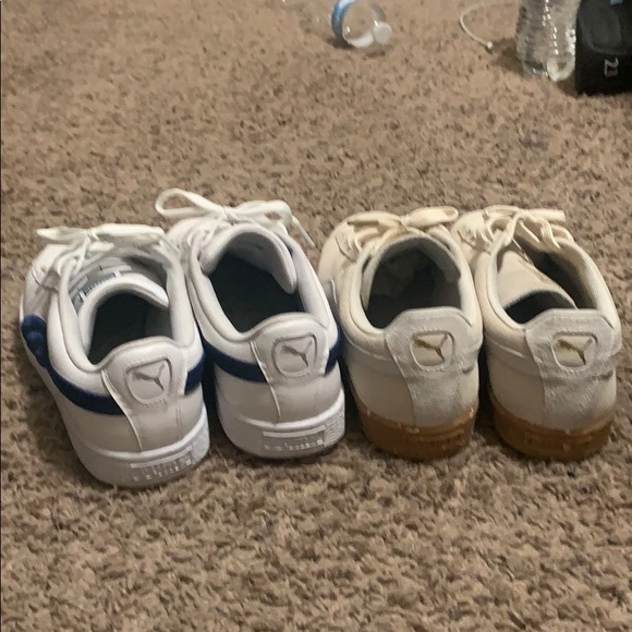 Pumas - Picture 8 of 12